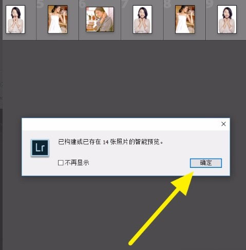 lightroom classic中文版合集