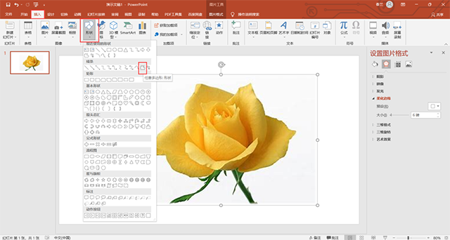 Microsoft Office